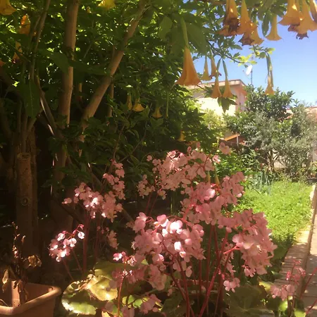 Casa De Aurora Homestay
