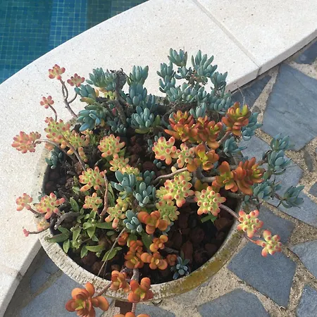 Casa De Aurora Homestay Rubi